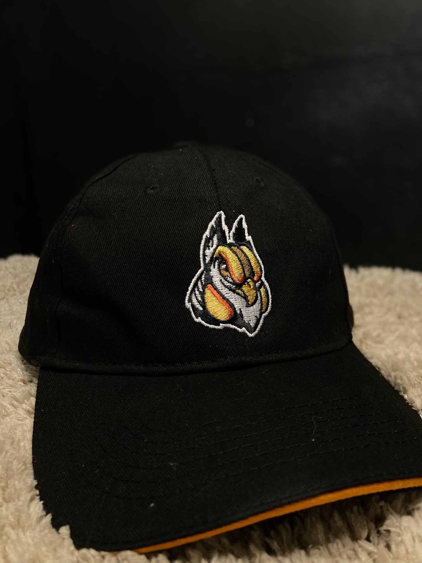 Hornet Mascot Black Cap