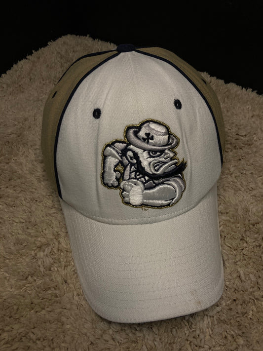 Vintage NCAA Team Spirit Hat